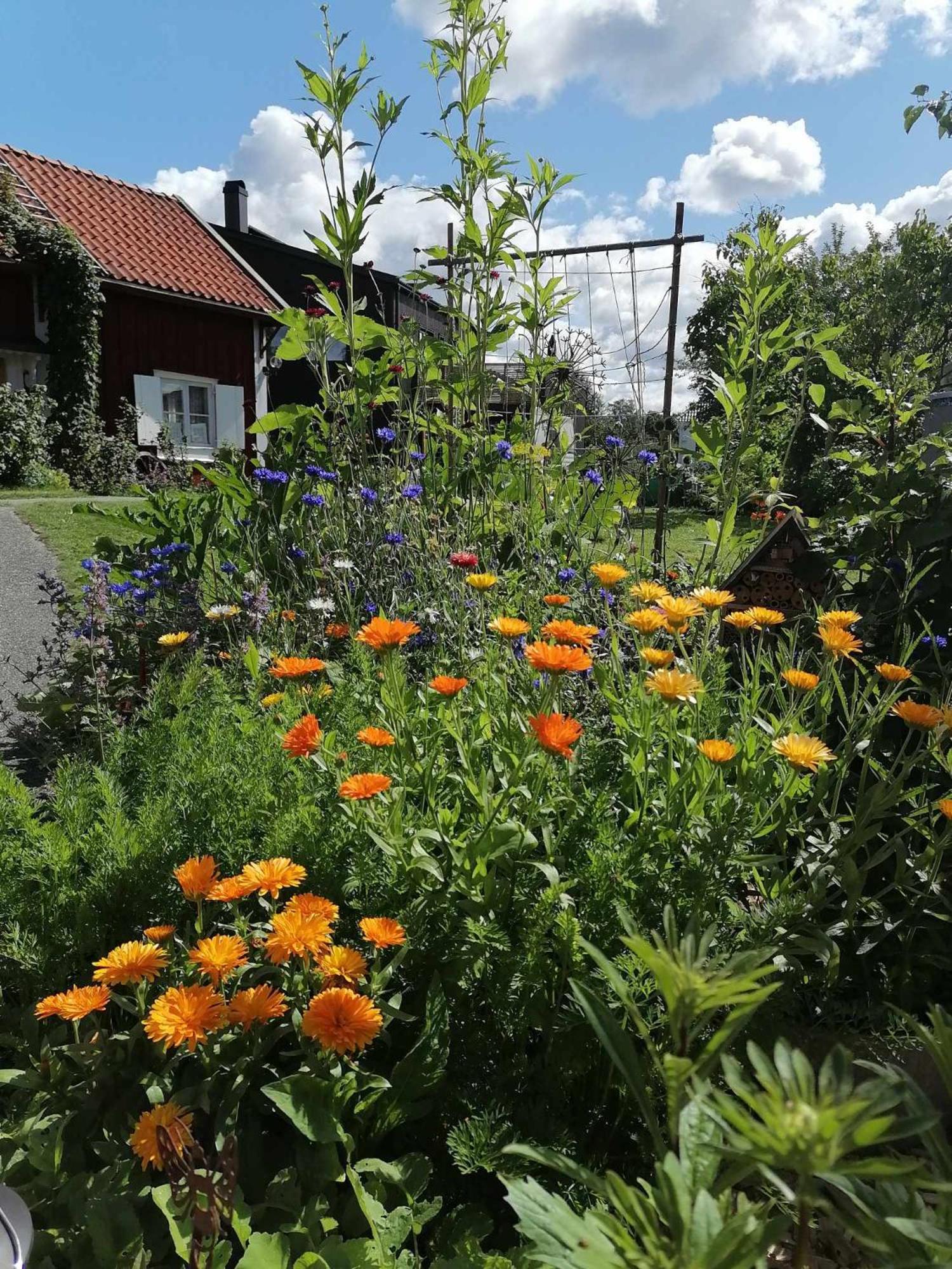 Rustik Stuga Med Lantlig Kaensla Naera Oerebro City 外观 照片