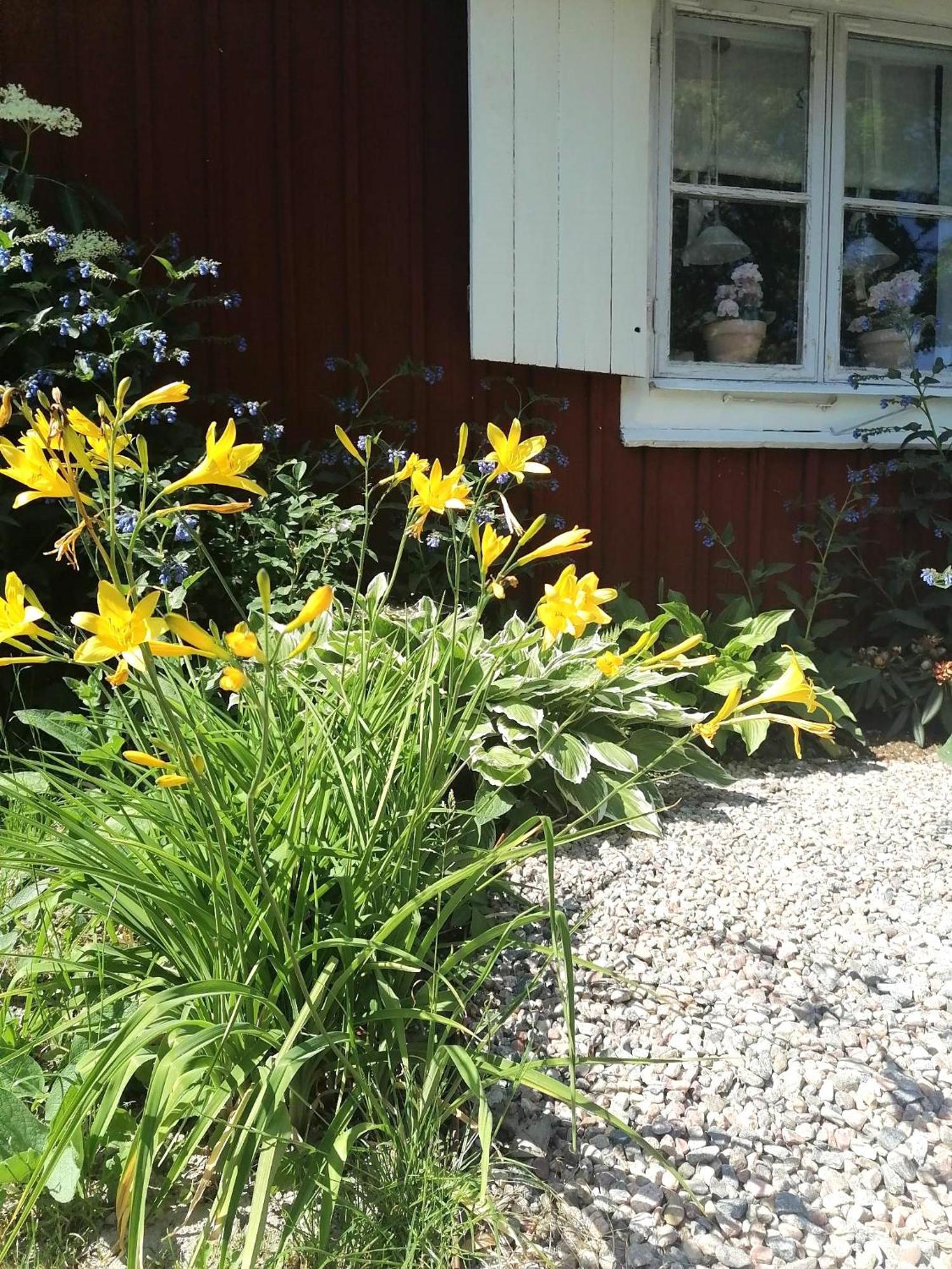 Rustik Stuga Med Lantlig Kaensla Naera Oerebro City 外观 照片
